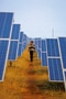 India’s renewable energy capacity surges to 172 GW. (File Photo: Bloomberg)