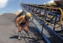 Nine states witness increased coal production during 2022-23 (File Photo: Bloomberg)