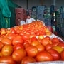 UP minister of state consumer affairs, food and public distribution Ashwini Kumar Choubey on Friday said the government has started the procurement of tomatoes under Price Stabilisation Fund and is making them available at a highly subsidised rate to consumers. PTI